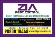 Zia Pest control | School | Kinder Garten