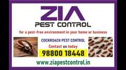 Cockroach Pest Service Up to 50% Off | Residence | 9010